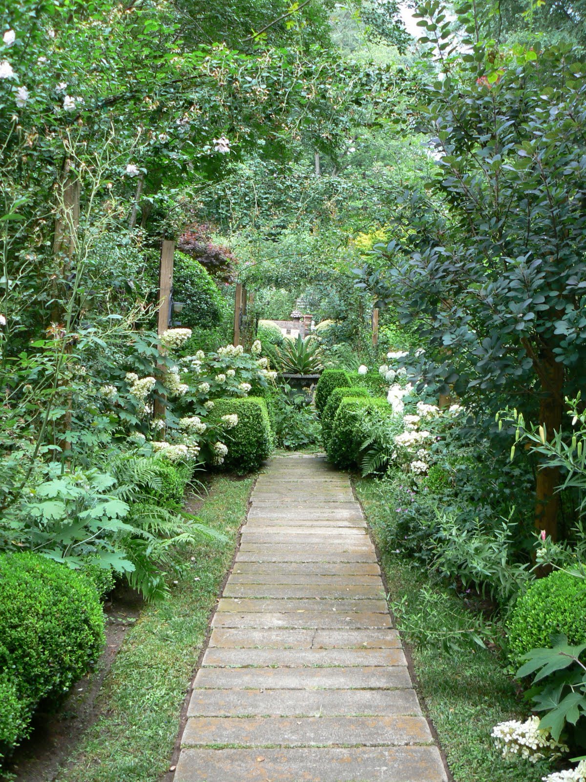 Garden Photo of the Day: Aug 1, 2011