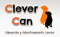 Clever Can Adiestramiento Canino en Poitivo