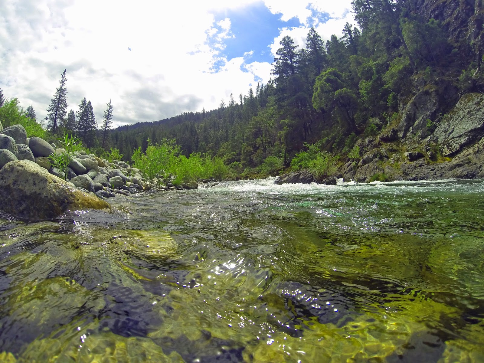 Jon Baiocchi Fly Fishing News North Fork Yuba River Fishing Report 5/19/15