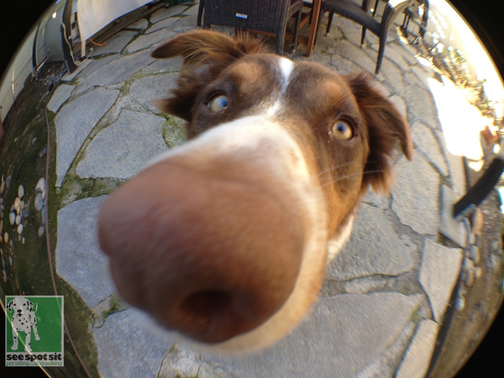 [Obrazek: ElleForBlog.JPG]