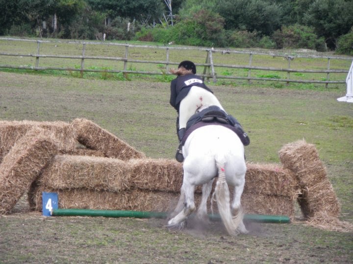The Equine Journey #3
