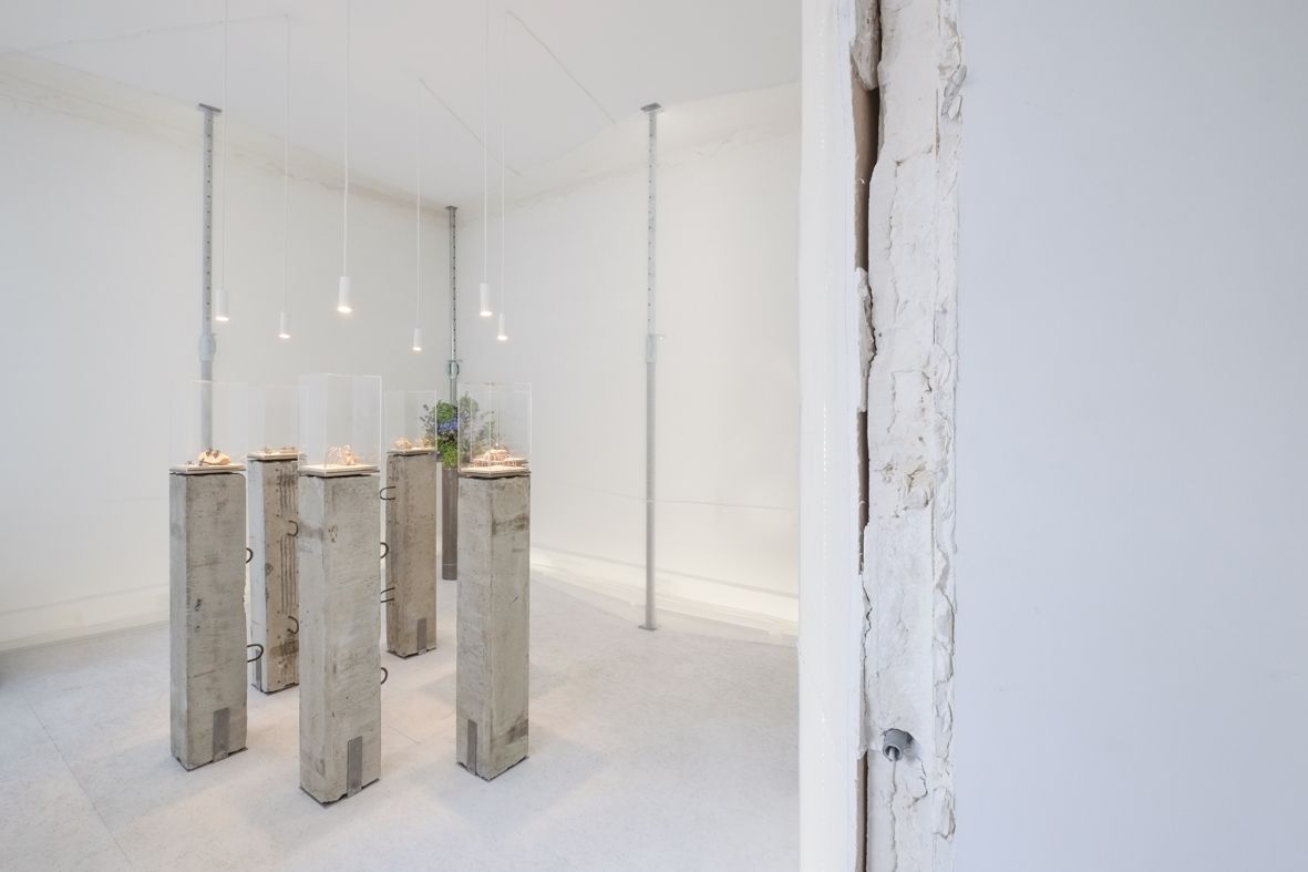 a f a s i a DAS studio