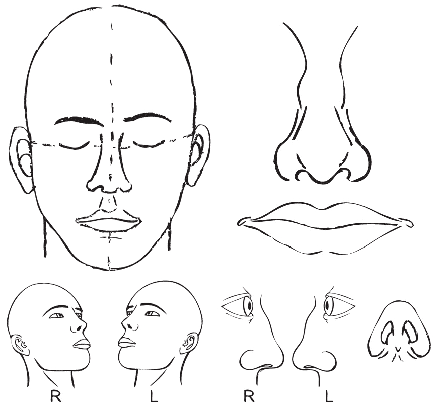 Liam Roberts BAGD YR2: Face Anatomy Pictures