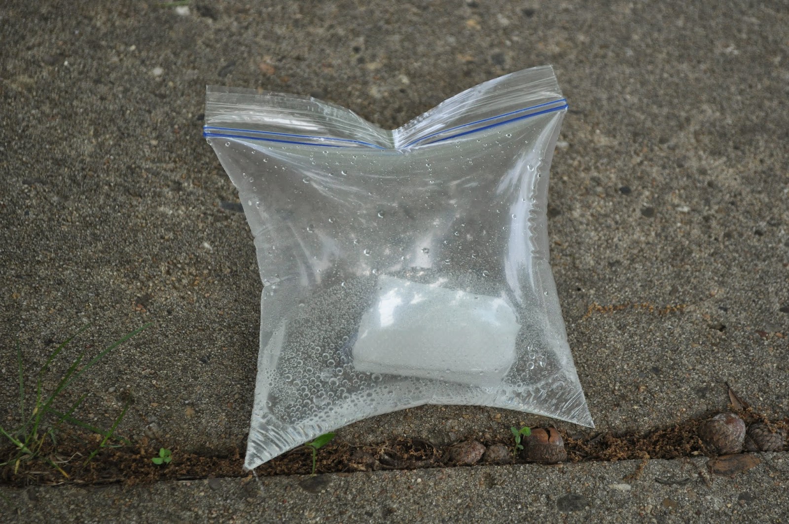 Healthy Momma Talk Bag Burst Science Experiment