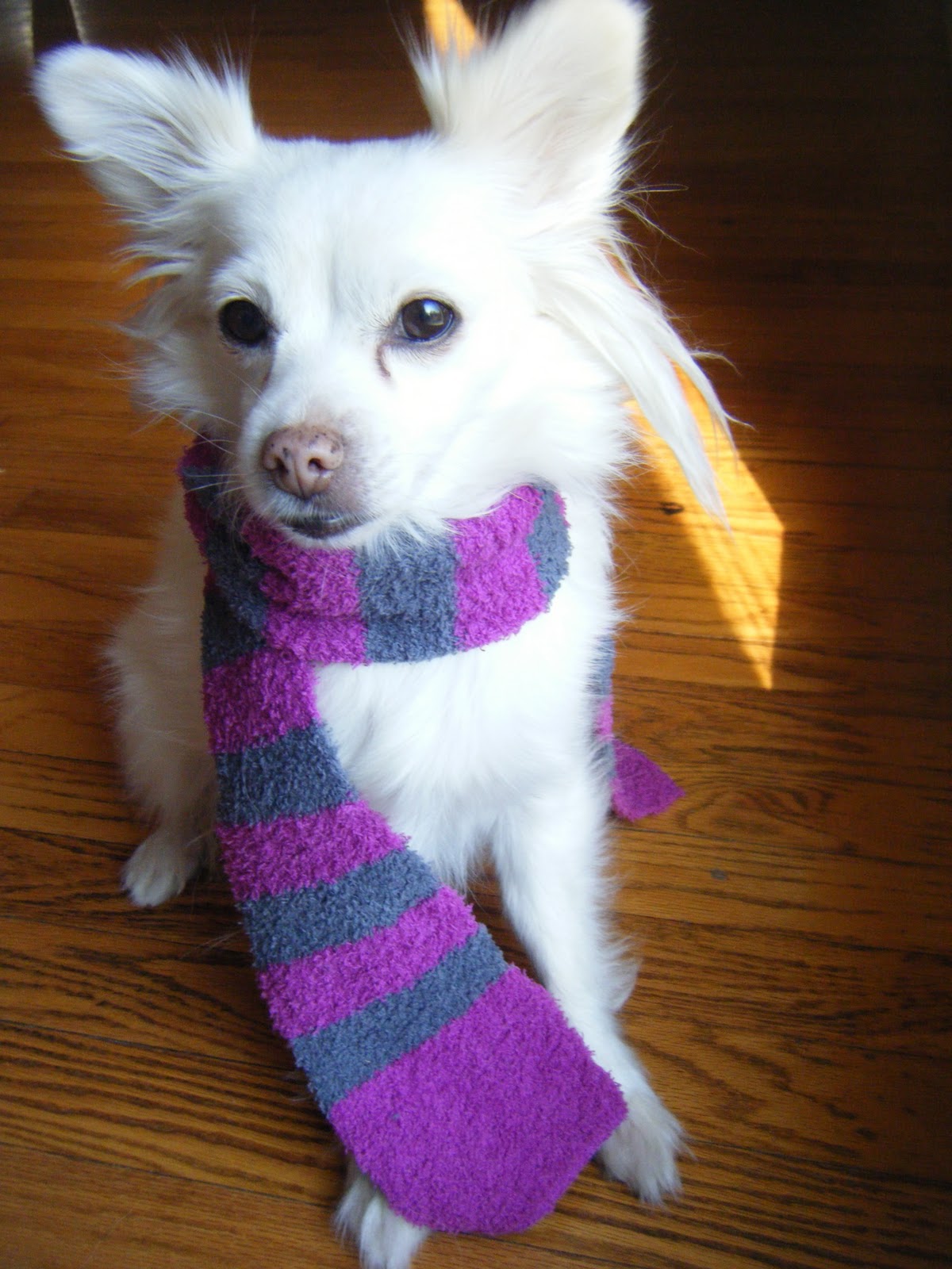 Sew DoggyStyle Make Leg Warmers From A Scarf