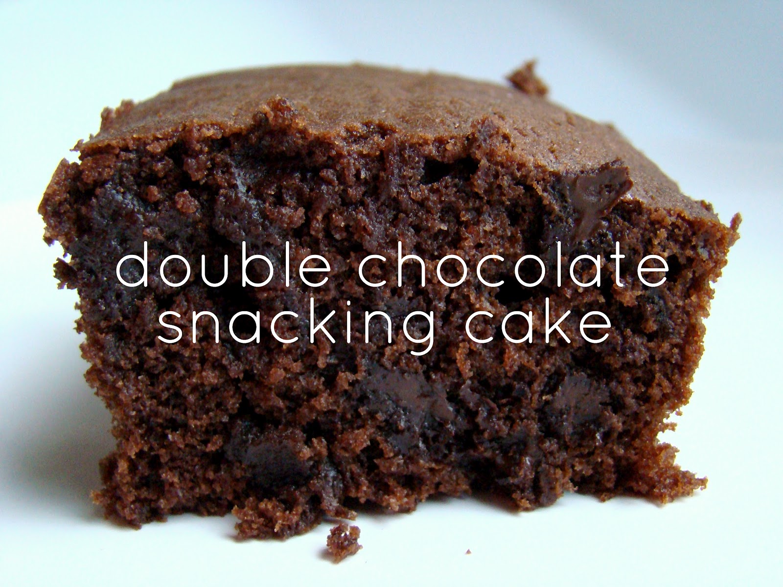 Double chocolate snacking cake