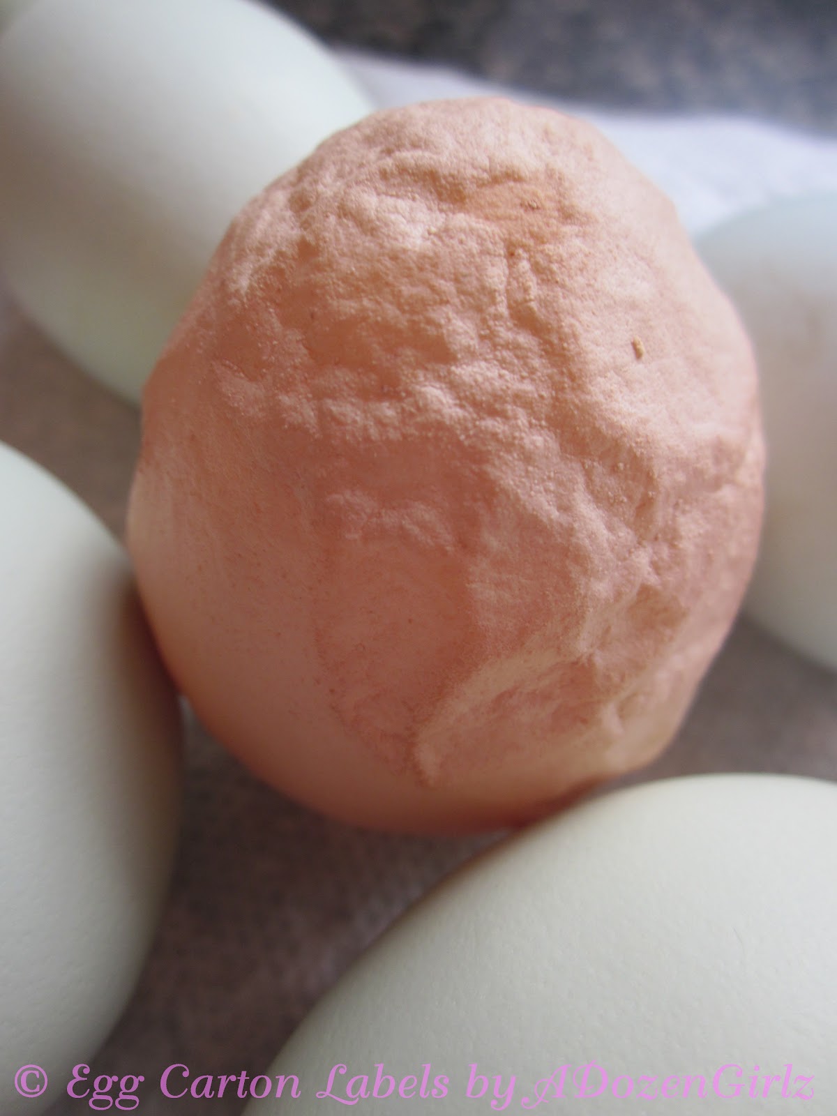 infectious bronchitis records is tracheobronchitis contagious