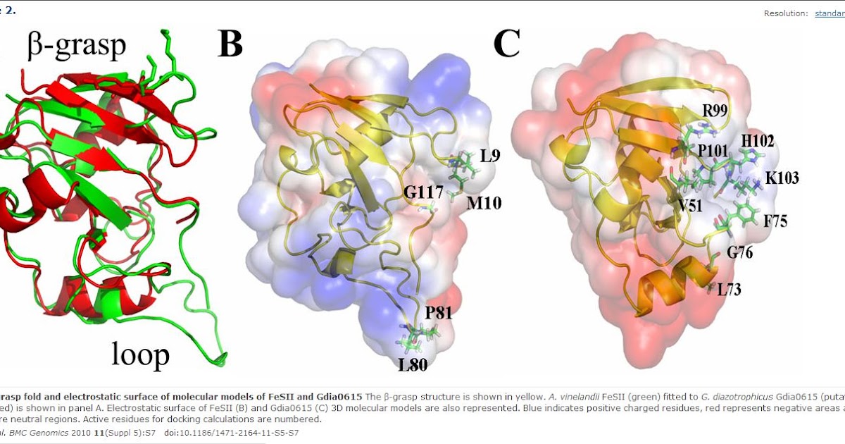 Nitrogenase: Literature Summaries
