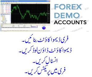 Bbc urdu forex