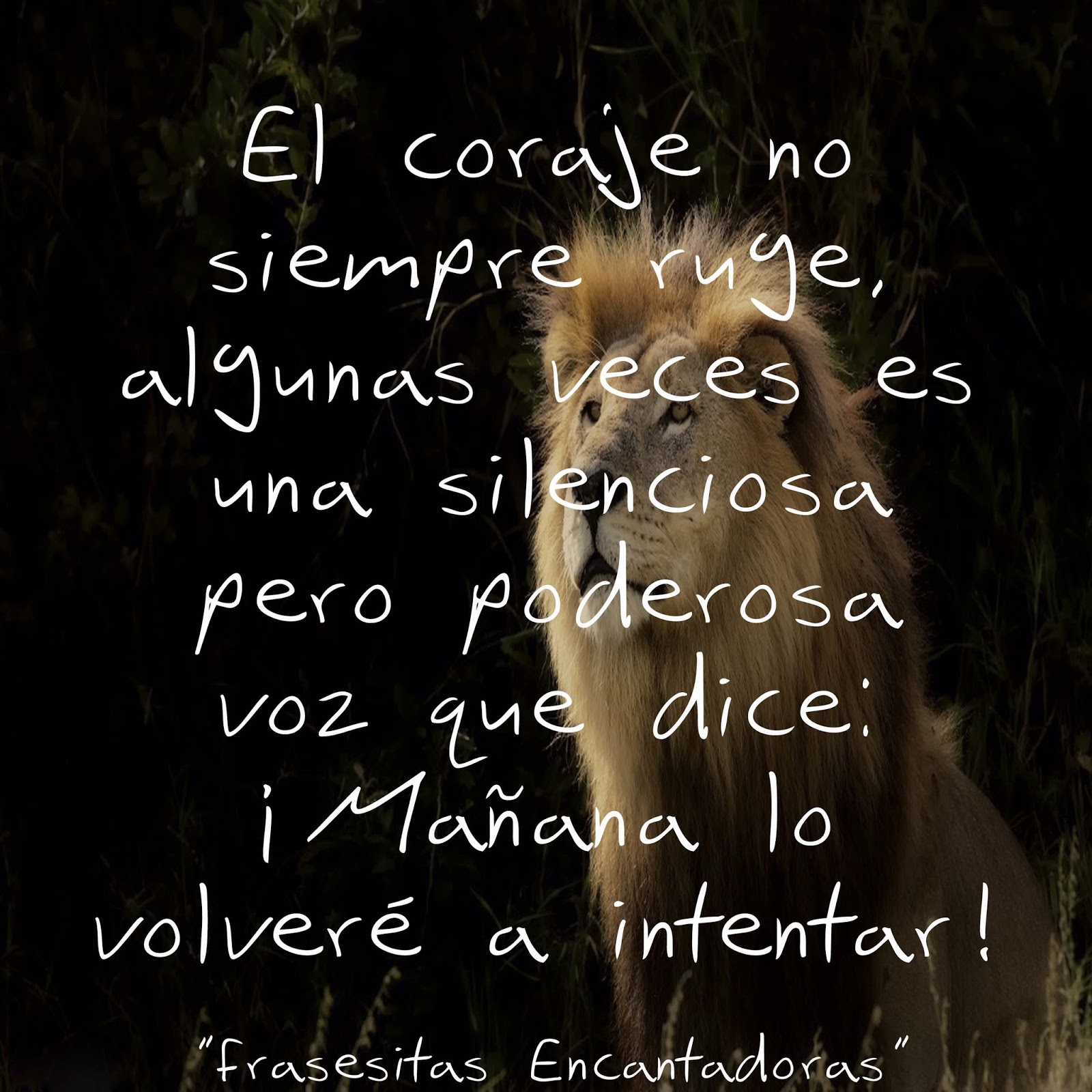 Ver las imágenes de origen