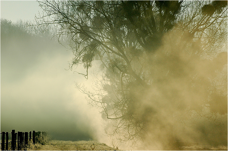 Emerging Photographers, Best Photo of the Day in Emphoka by Marie Lalanne Manzor Emerging Photographers, Best Photo of the Day in Emphoka by Marie Lalanne Manzor