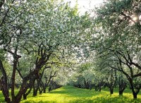 Инвестиции в ПАММ-счета. Итоги 108-й недели инвестирования