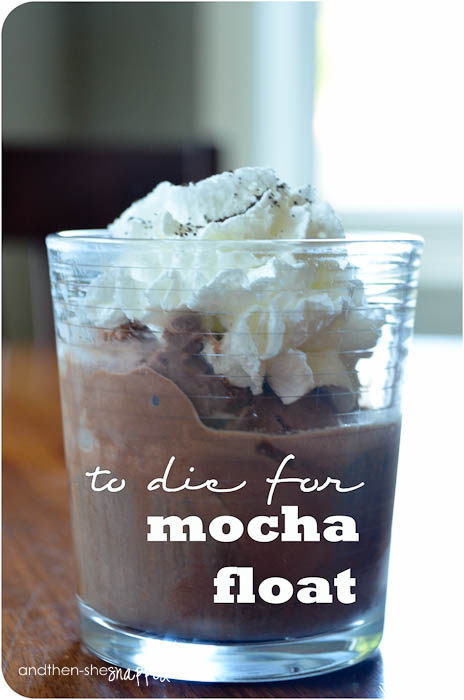 Mocha Float