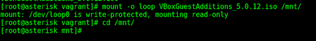 How to use existing virtual machines with Vagrant 12 mount