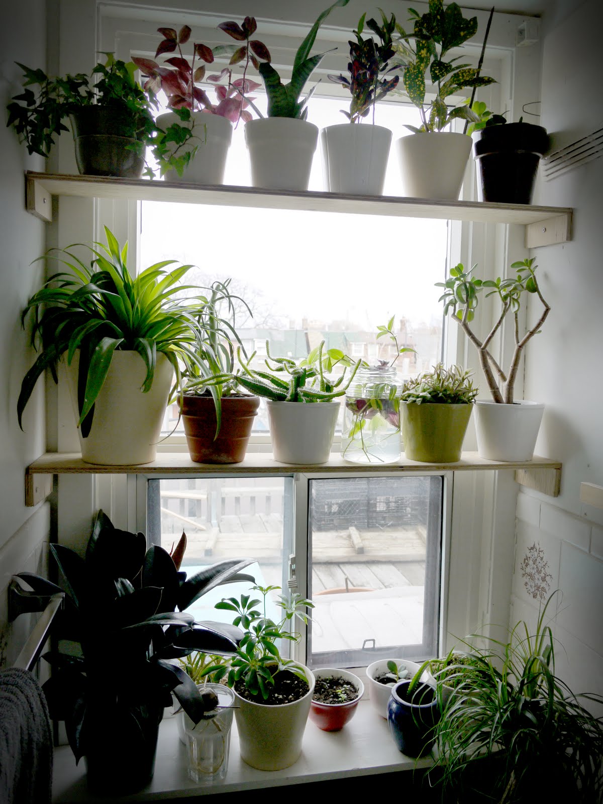 Apartment Garden on Pinterest