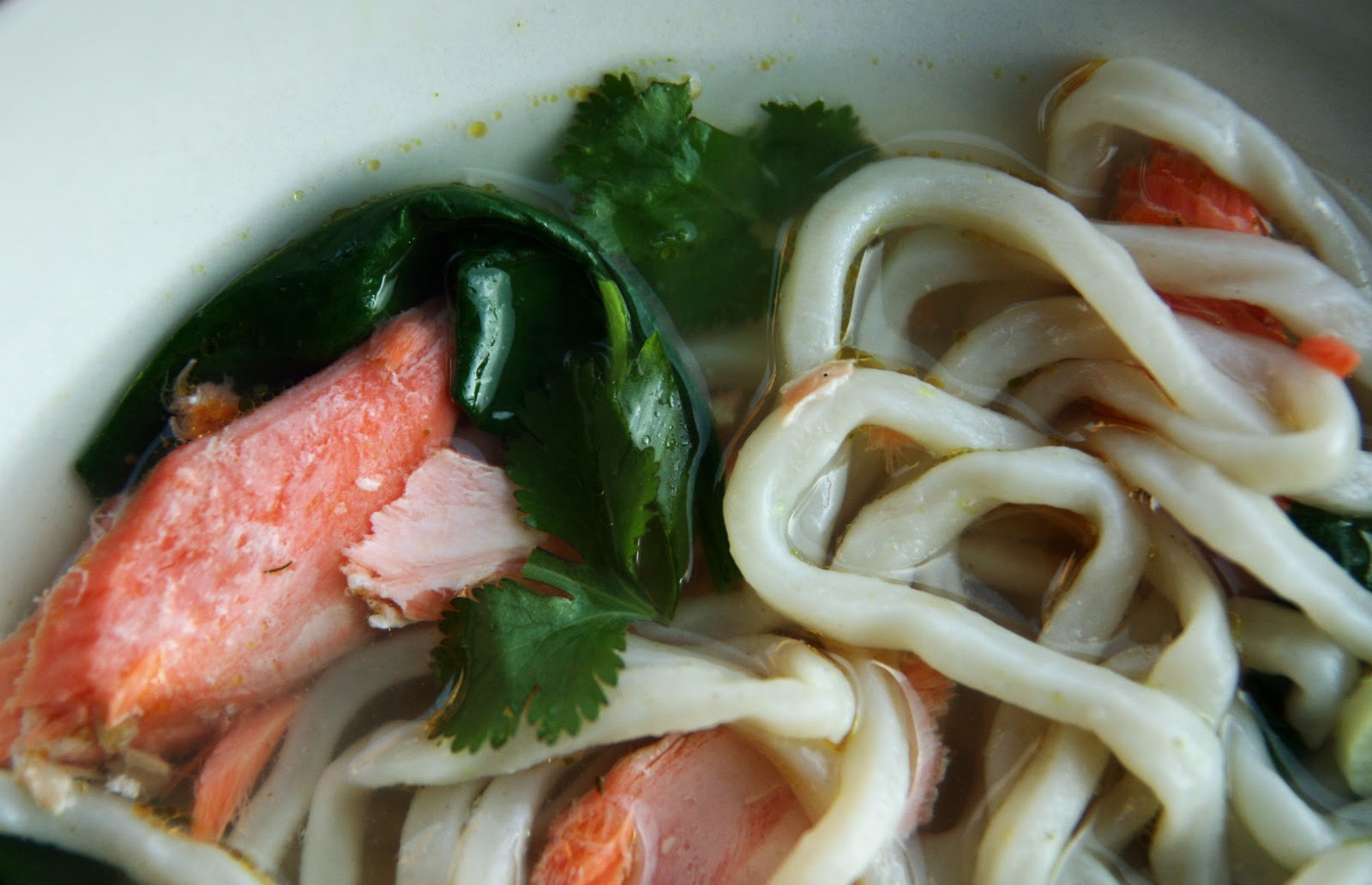 Noodle Soup with Salmon and Udon Recipe mostly foodstuffs