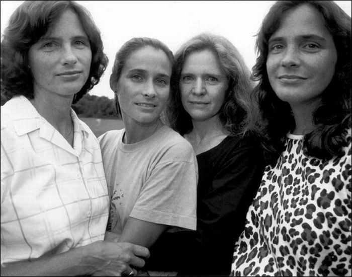 brown sisters book brown sisters book