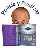 POESÍA Y POETIZAR VOL. 1