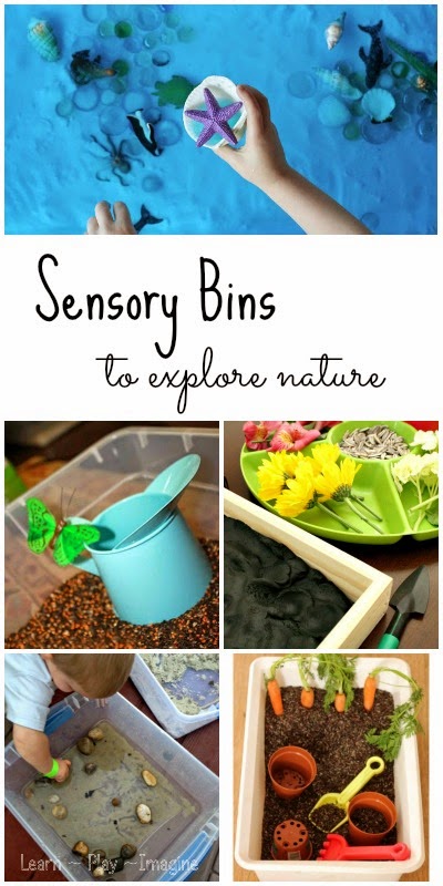 50+ sensory bins to explore nature