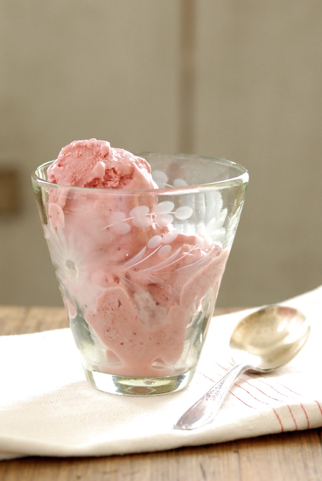 Strawberry Coconut Milk Ice Cream Kumquat