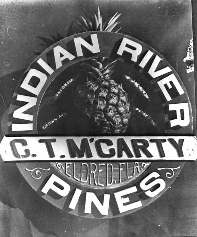 Shellbelle's Tiki Hut Pineapples in Florida History? What?