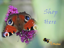 BsPhotos Shop