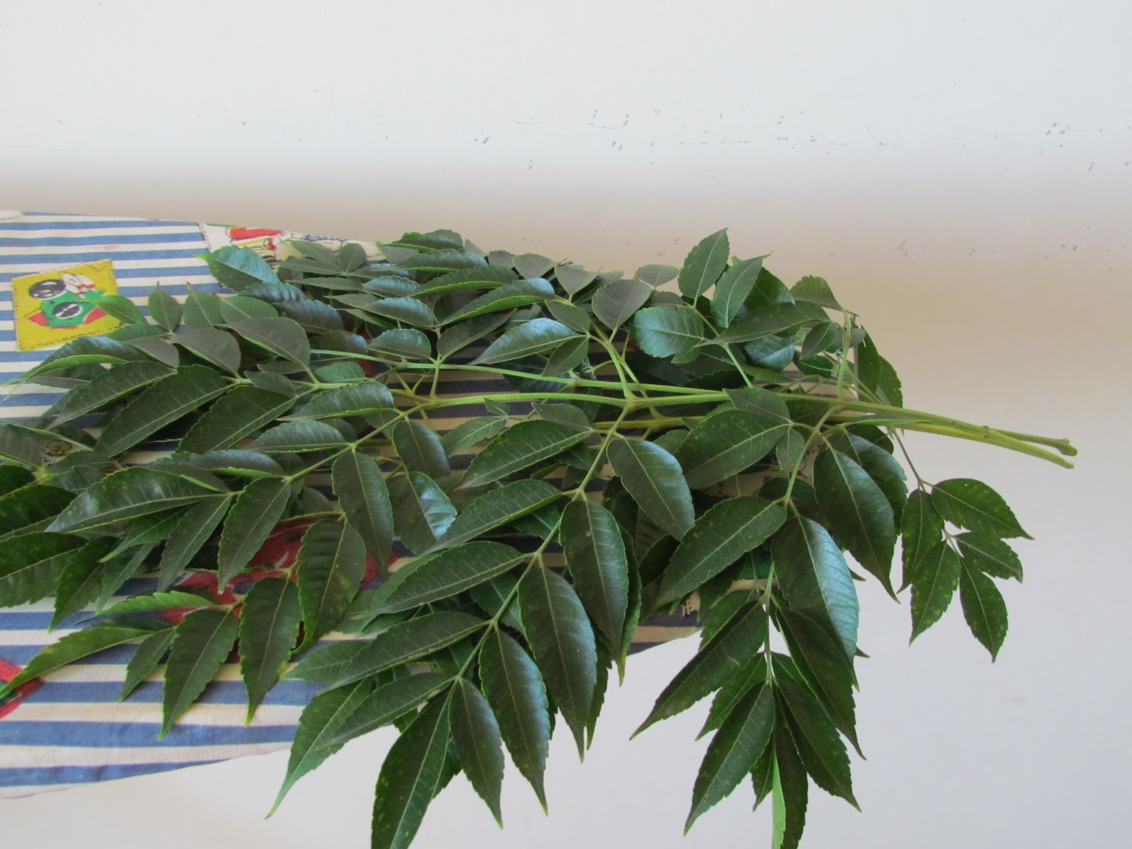 The Home Manager's Junction Neem Cure for lice and dandruff ( Anti