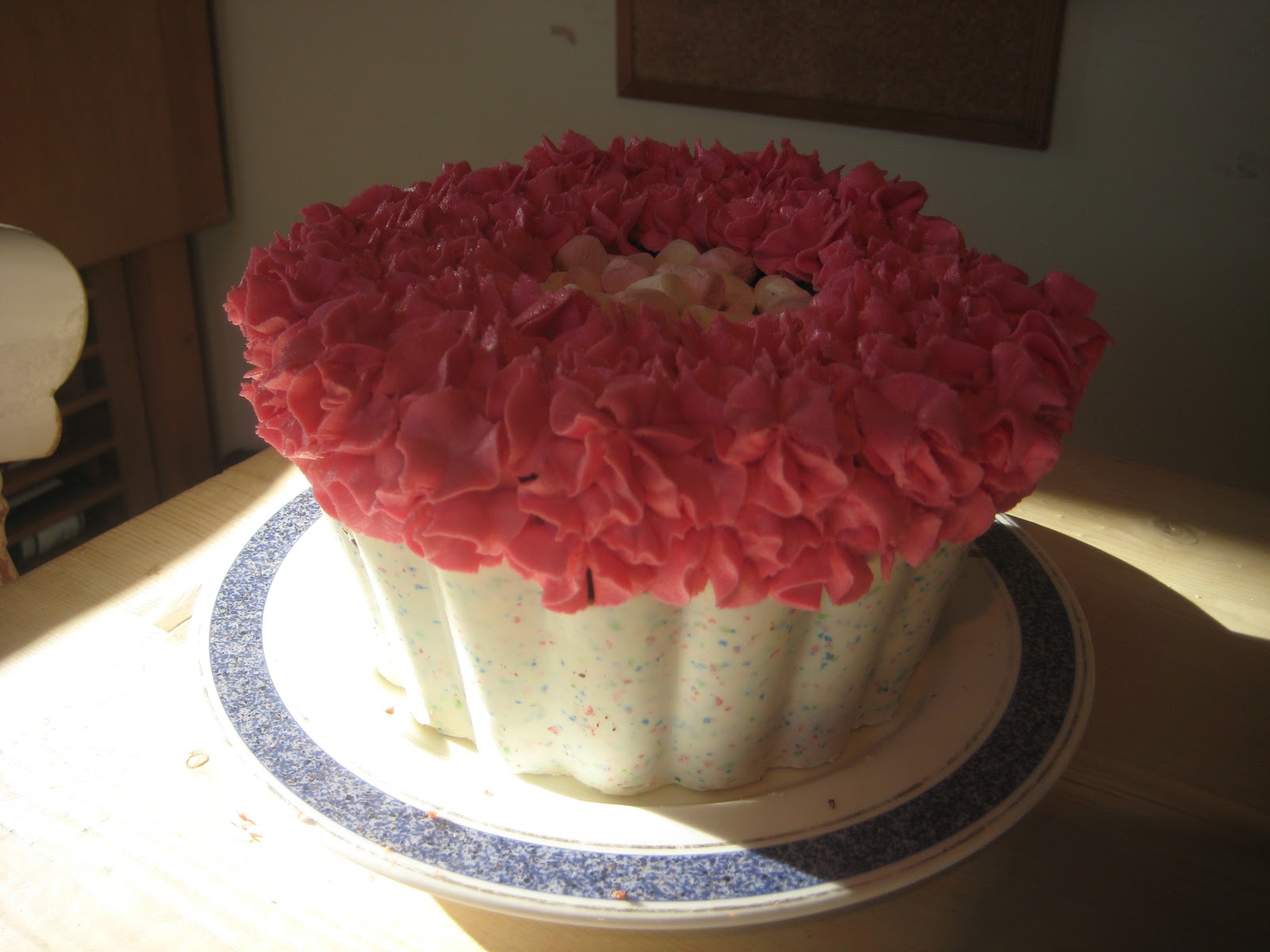 Jo's Blue AGA Giant Cupcake for Maggie