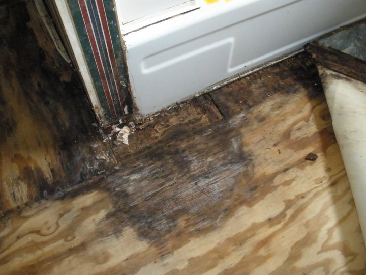 The Mess We Call Home The Bathroom Diaries