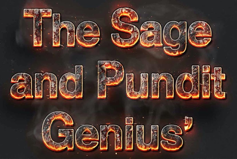 The Sage Genius and the Pundit Genius