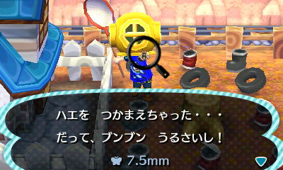 とびだせ どうぶつの森アリ ハエの捕まえ方 生臭坊主のゲームメモ