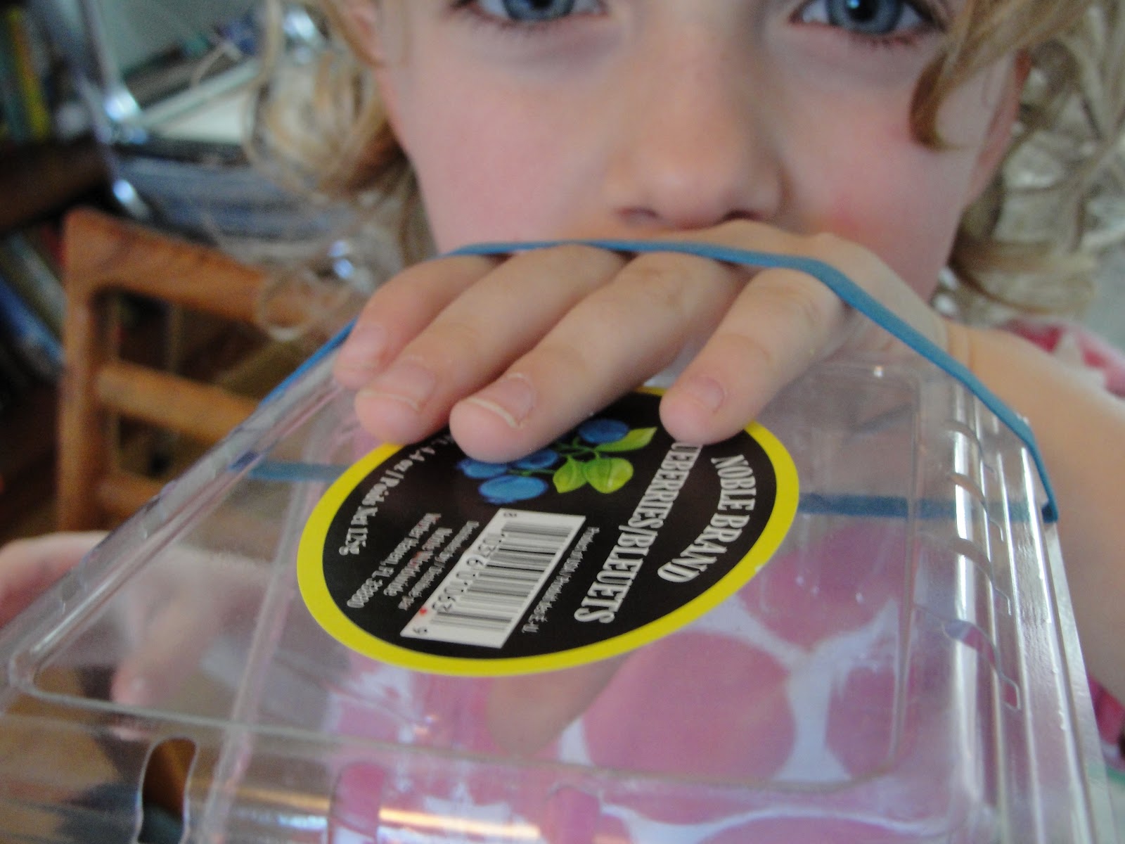 Green Life berry container monsters