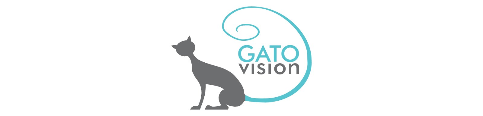 Gato Vision Blog