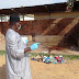 FEMALE BOMBER KILLS 6 IN NIGERIA, GIRL WITH EXPLOSIVES HELD