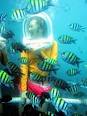 seawalker
