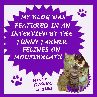 We were interviewed by the Funny Farmer Felines!