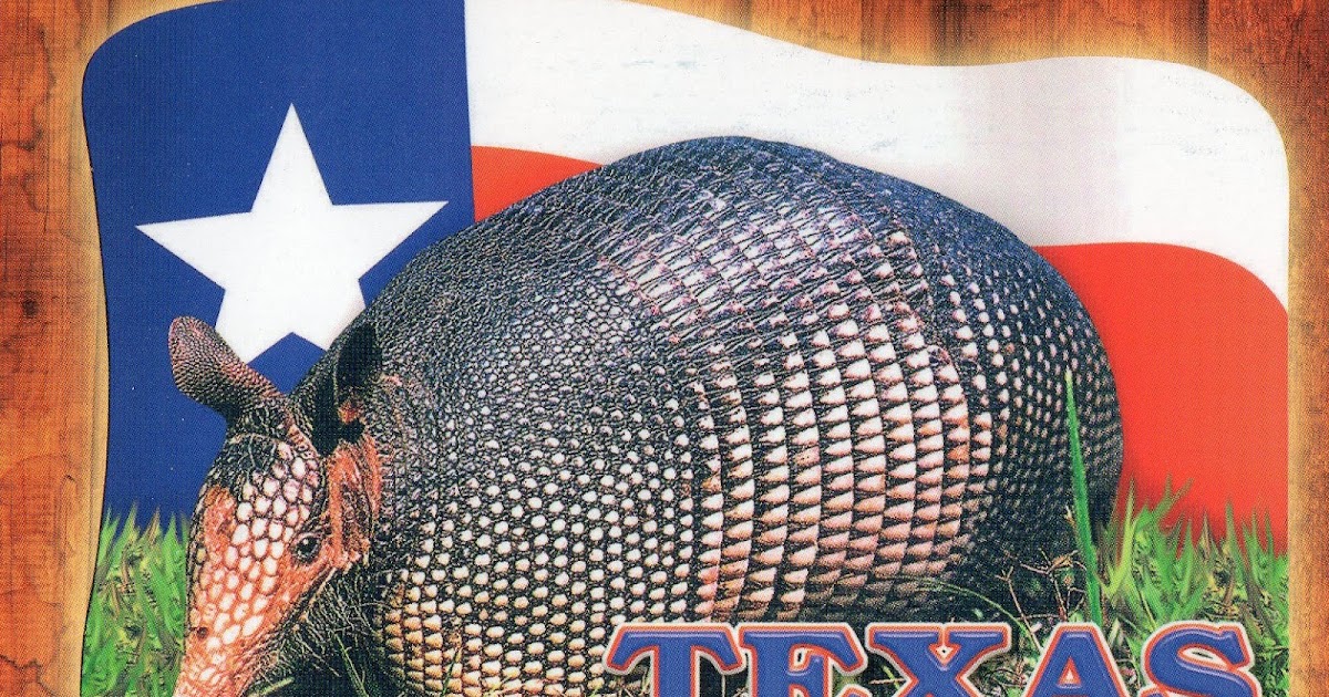 The World In Our Mailbox Texas Armadillo