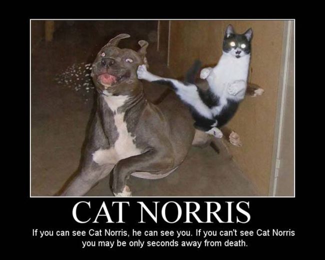 funny funny