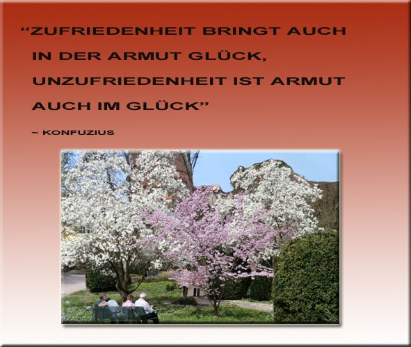 Zitate Freundschaftsspruche Motivation April 2011