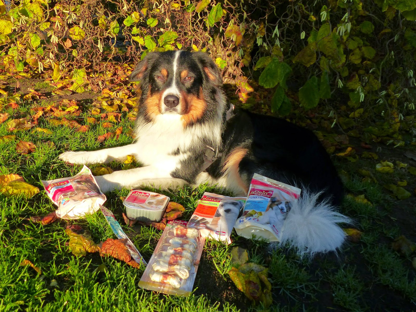 Dein Bestes Hundefutter Von Dm Schmeckt Erdbeerchens Testwelt