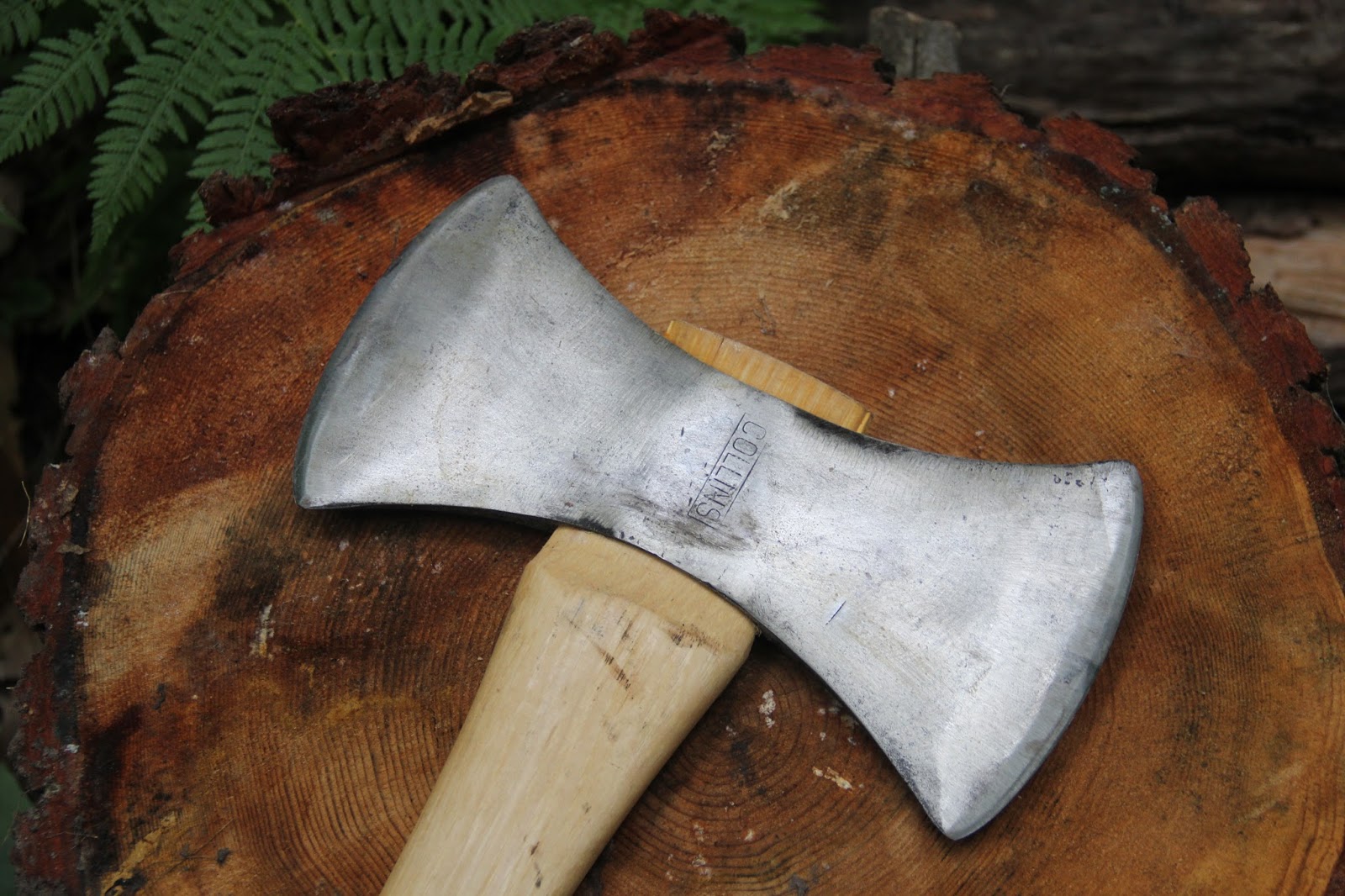 Isabella Conservation District Environmental Education Program Logging