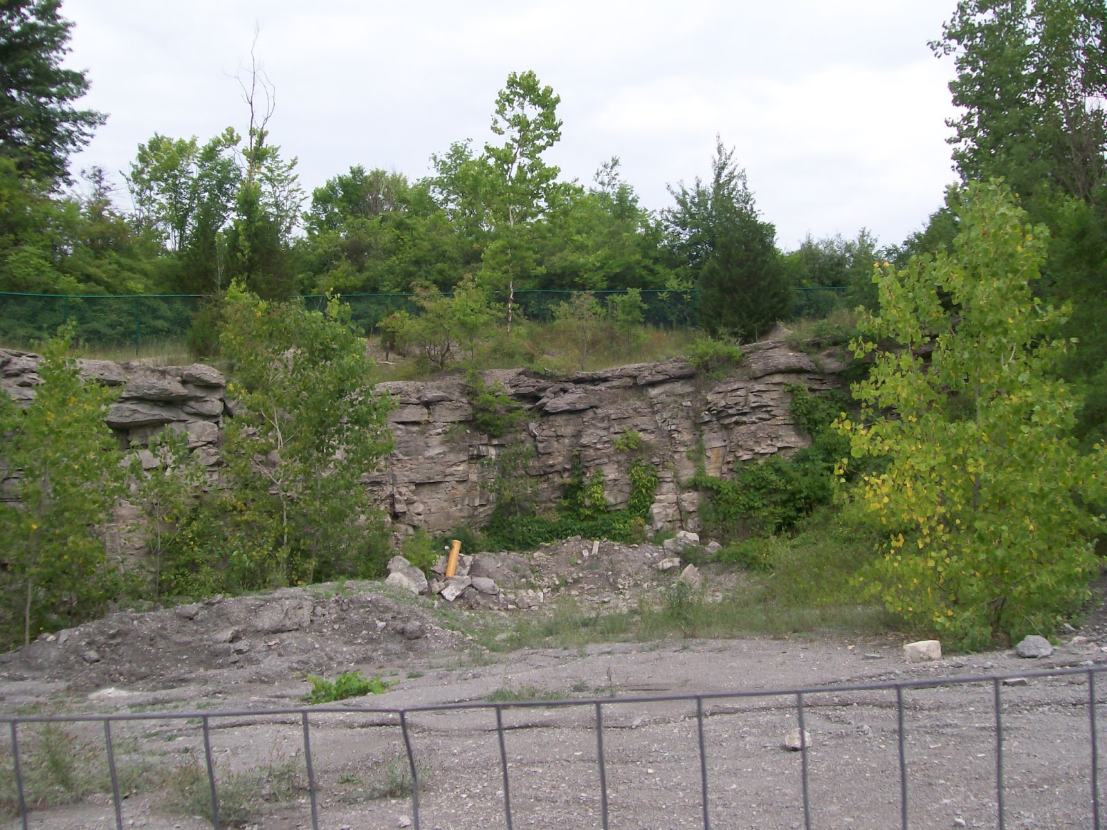 Rockhounding Around Fossil Park, Sylvania Ohio