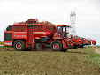 Sugar beet harvest: Ropa Tiger VS Holmer Terra Dos T3