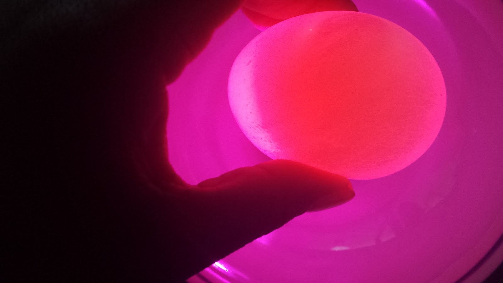 Halloween Decoration Glow In The Dark Eggs Eventsojudith