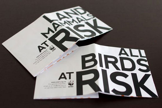 brochure design