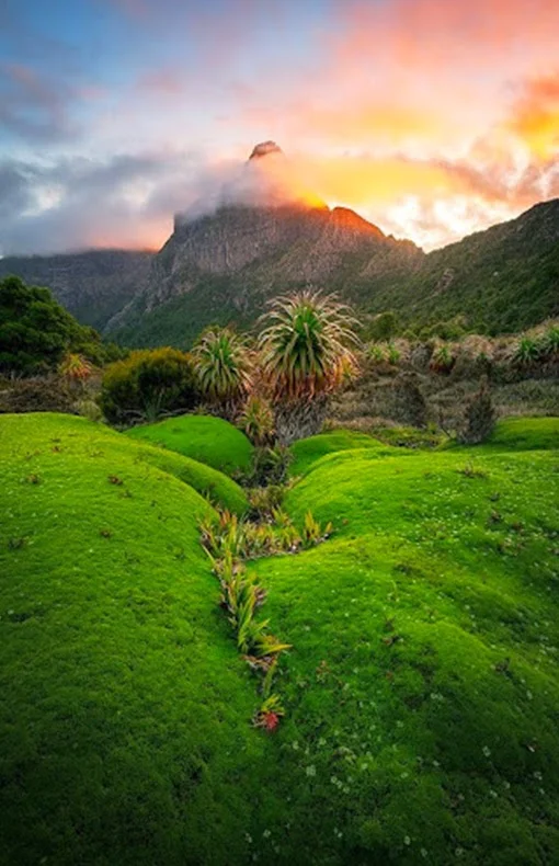  South-West National Park, Tasmania by Chris Wiewiora