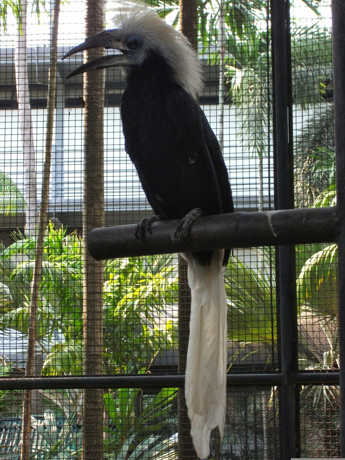 Aviary at Nong Nooch Tropical Garden