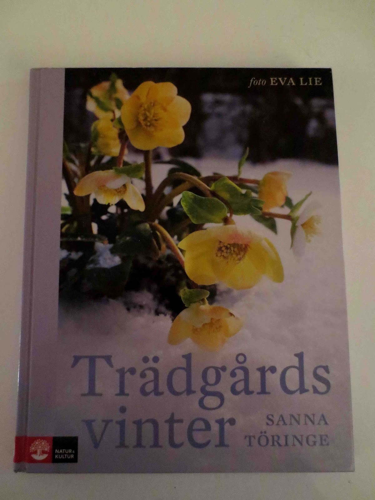 Rickardssons rosor & rabarber: januari 2016