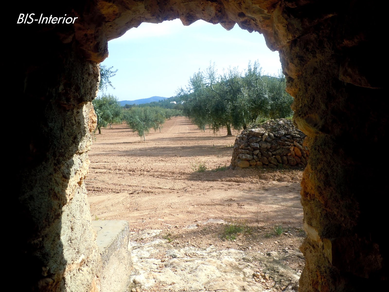 UNA PERSPECTIVA DIFERENT, DES DE DINS