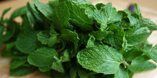 Mint Mint